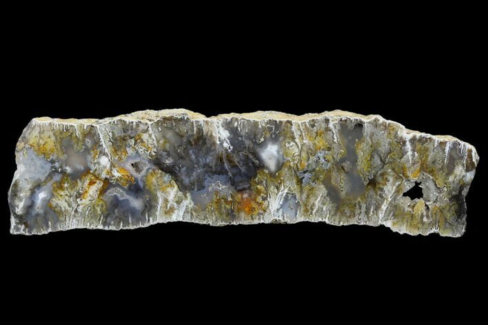 Graveyard Plume Agate Slab - Eastern Oregon #114488